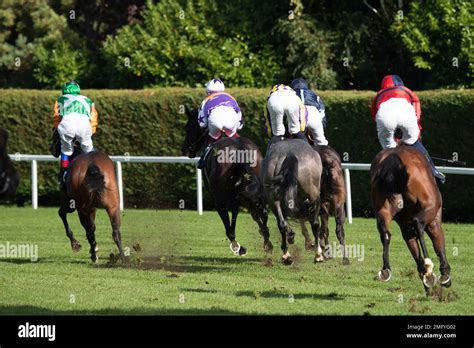 attheraces market movers|At The Races .